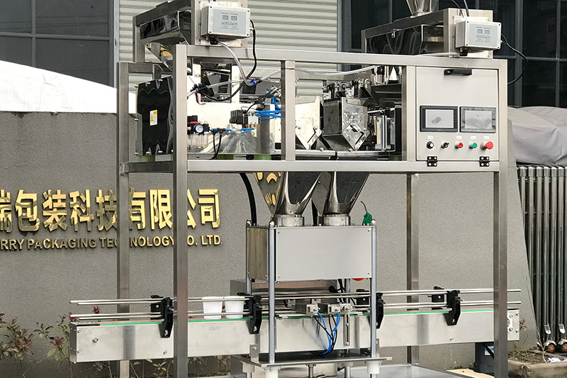 automatic powder filling machine